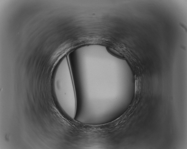X0000103460243200809121104