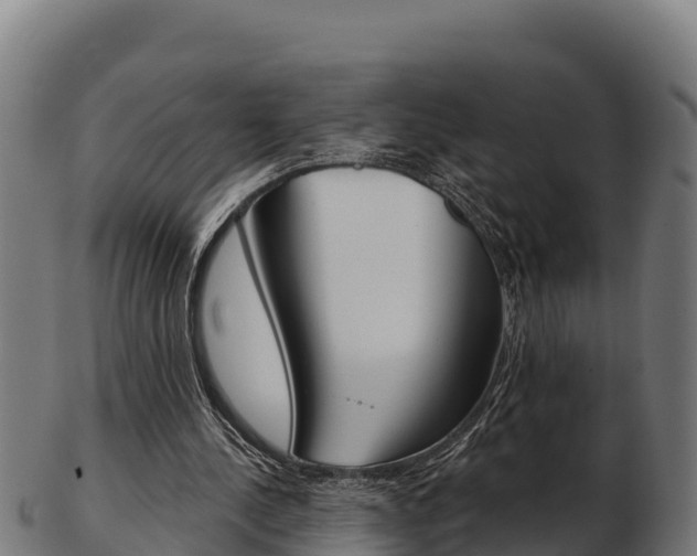 X0000103460244200809121104