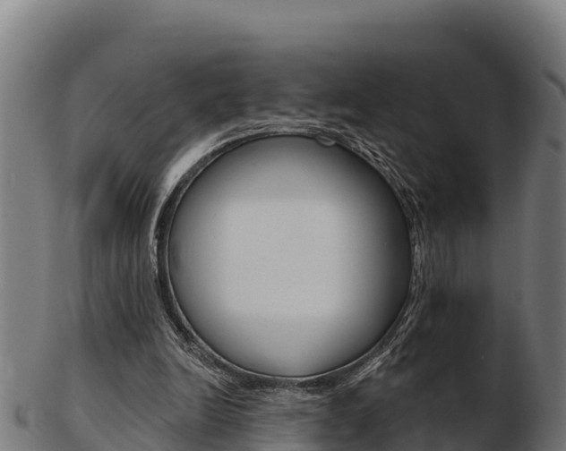 X0000103460246200809121104