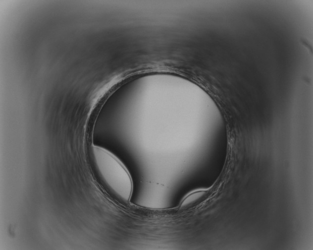 X0000103460248200809121104