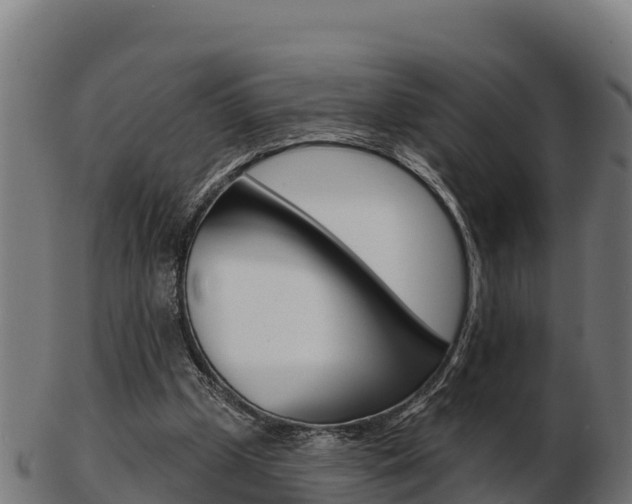X0000103460249200809121104