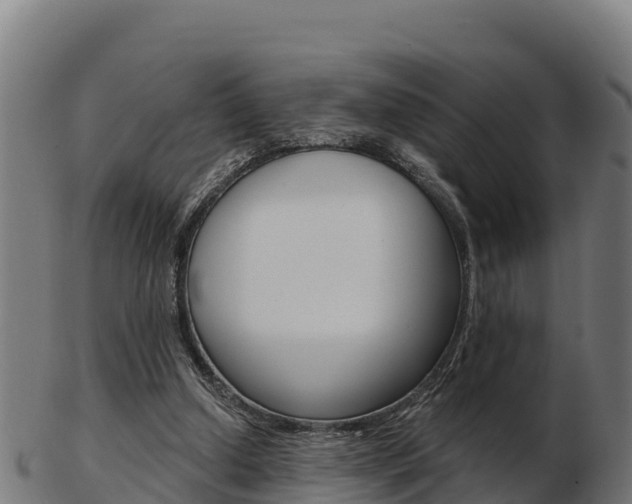 X0000103460250200809121104