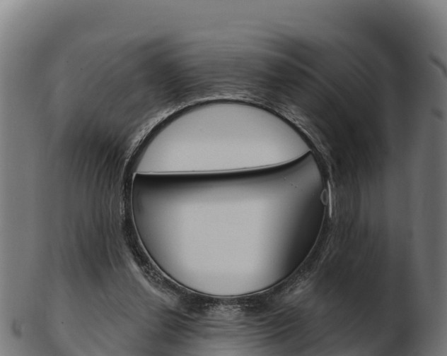 X0000103460252200809121104