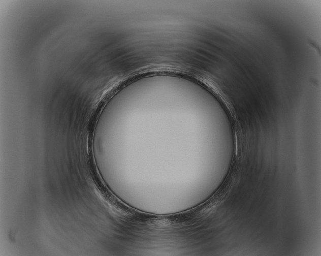 X0000103460253200809121104