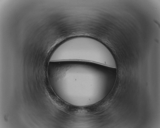 X0000103460256200809121104