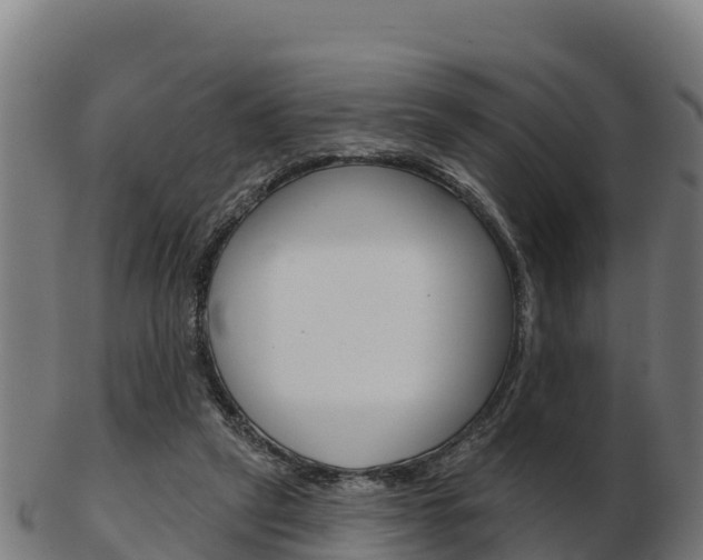 X0000103460257200809121104