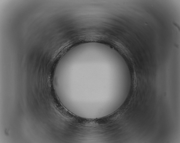X0000103460258200809121104