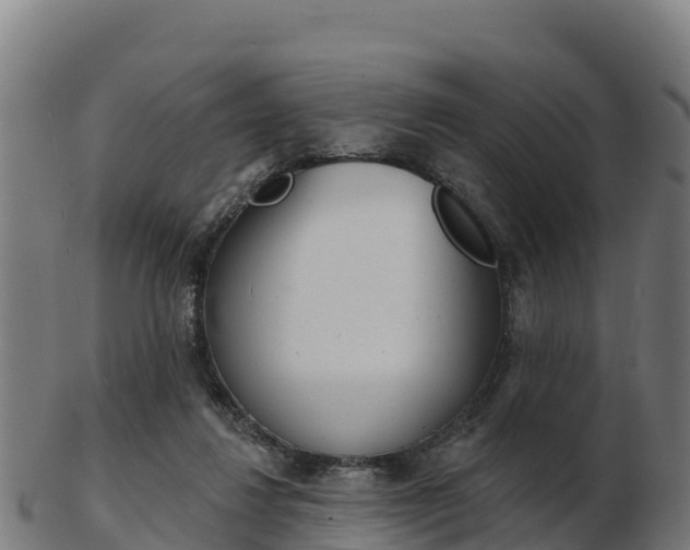 X0000103460260200809121104