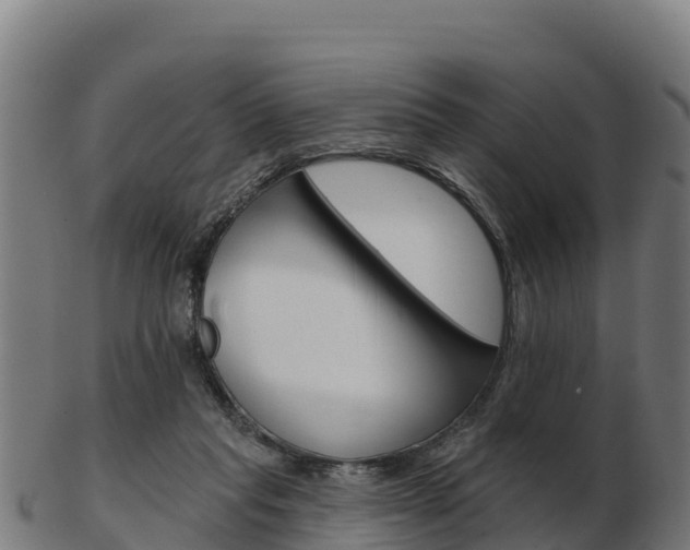 X0000103460261200809121104
