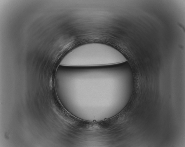 X0000103460262200809121104
