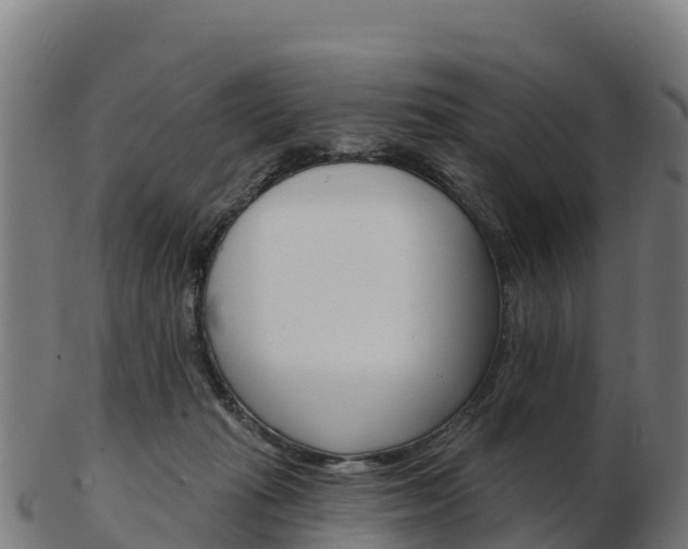 X0000103460269200809121104