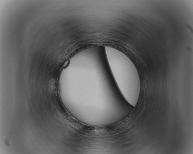 X0000103460270200809121104