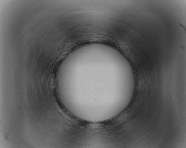 X0000103460273200809121104