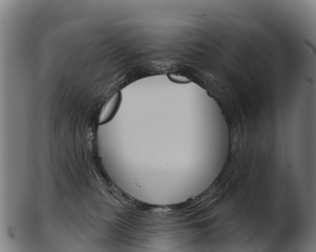 X0000103460279200809121104