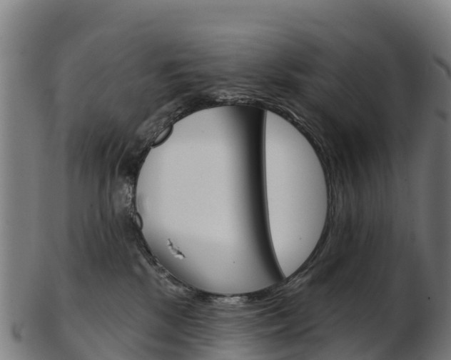 X0000103460281200809121104