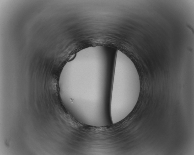 X0000103460282200809121104