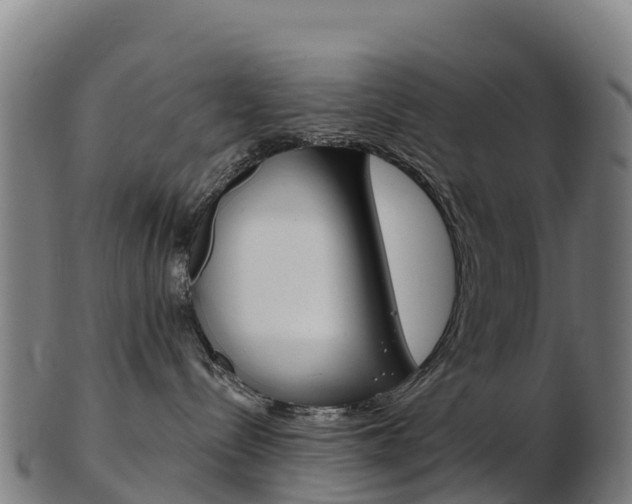 X0000103460288200809121104