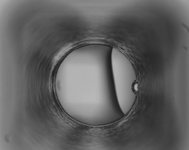 X0000103460294200809121103
