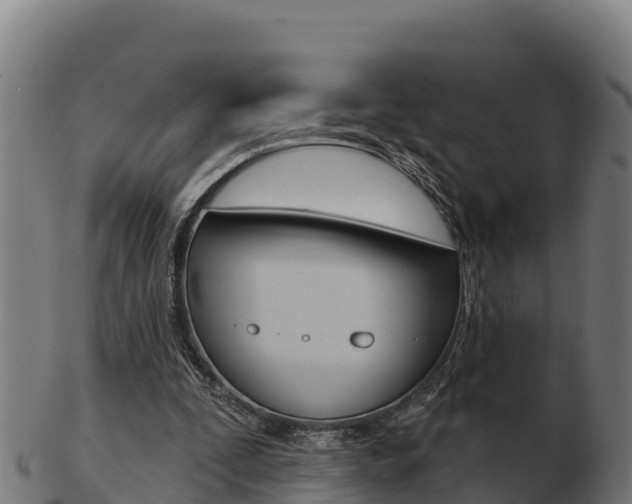X0000103460295200809121103