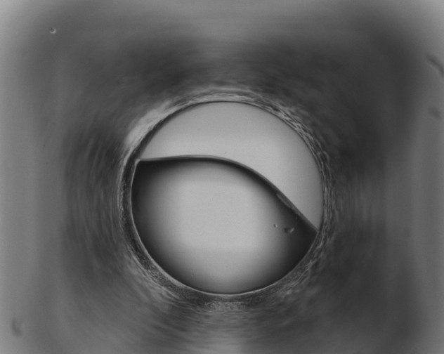 X0000103460296200809121103