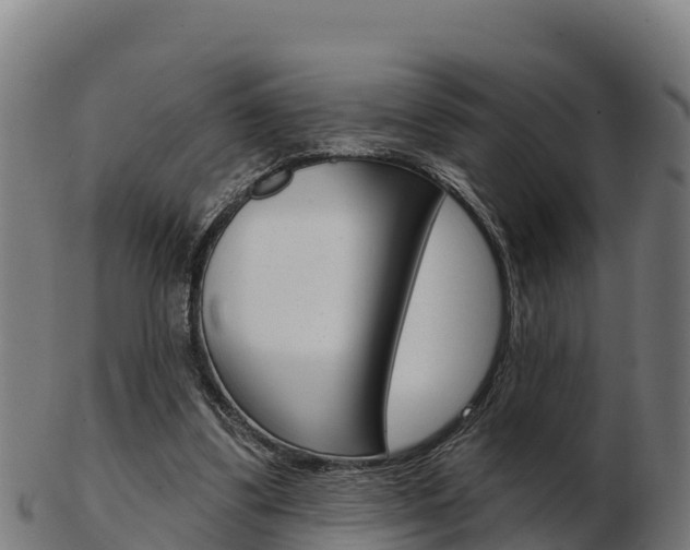 X0000103460299200809121103