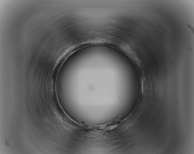 X0000103460300200809121103