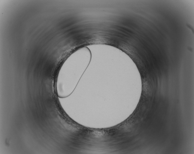 X0000103460302200809121103