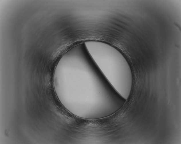 X0000103460303200809121103