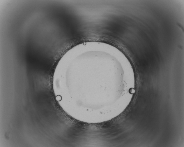 X0000103460305200809121103