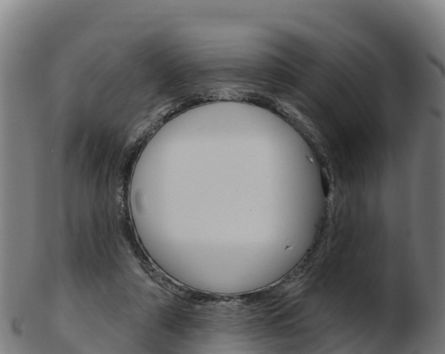 X0000103460306200809121103