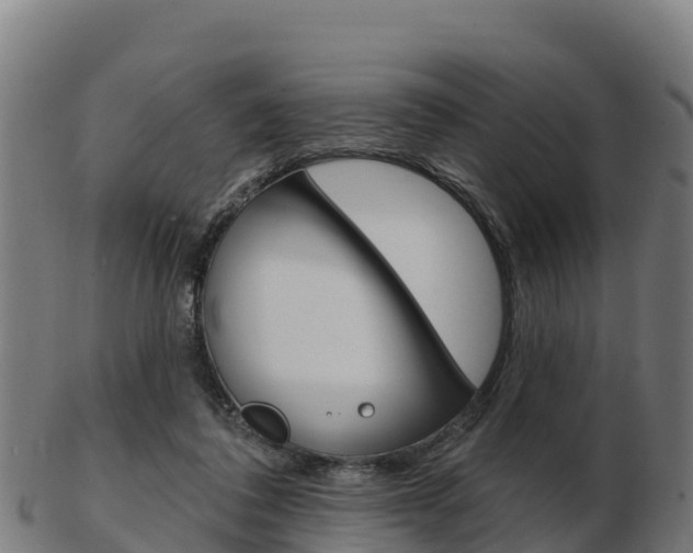 X0000103460308200809121103