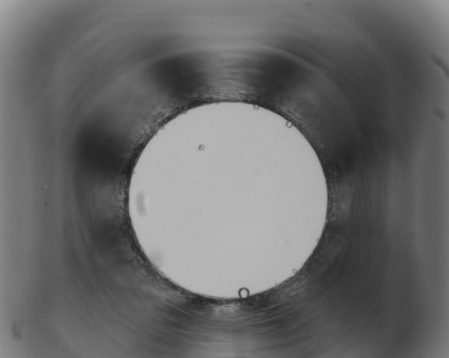 X0000103460309200809121103