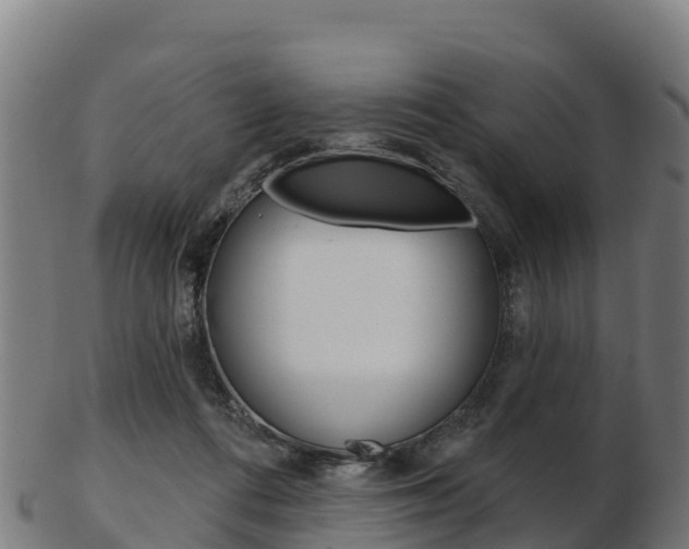 X0000103460312200809121103