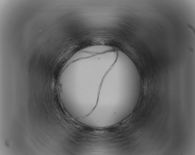 X0000103460314200809121103