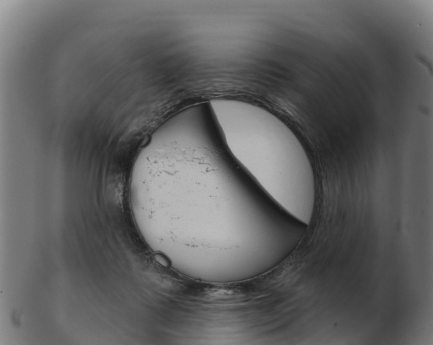 X0000103460315200809121103