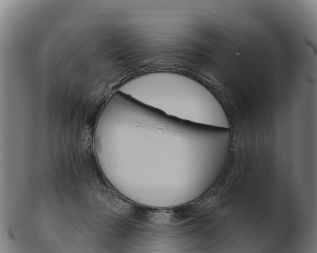 X0000103460318200809121103
