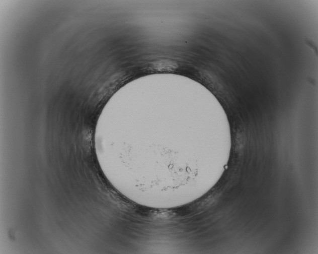 X0000103460321200809121103