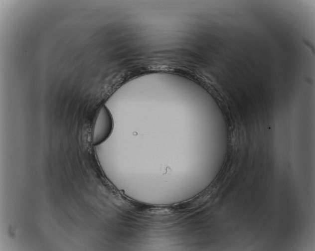 X0000103460322200809121103