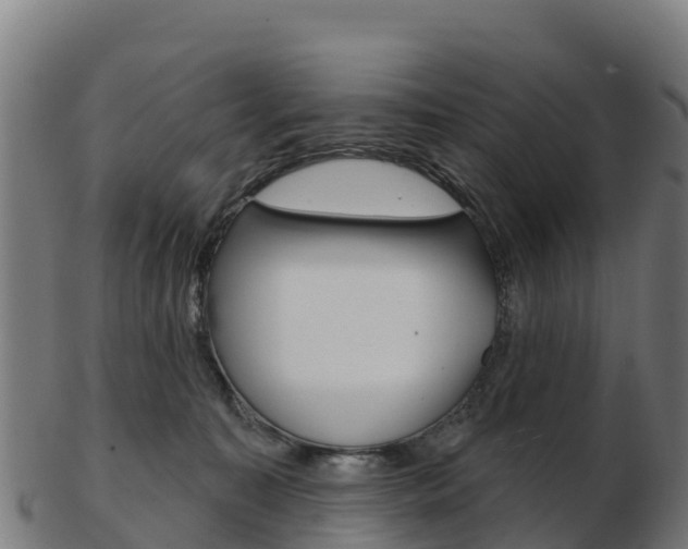 X0000103460323200809121103