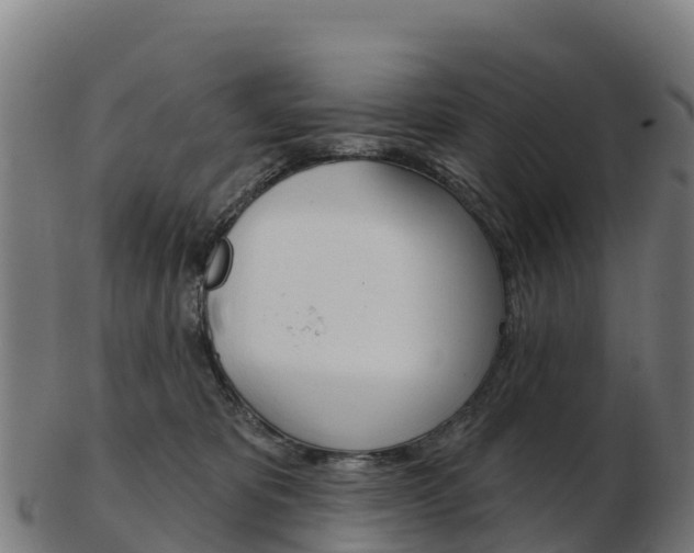X0000103460325200809121103