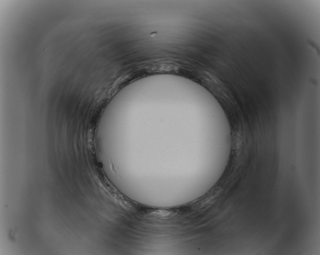 X0000103460326200809121103