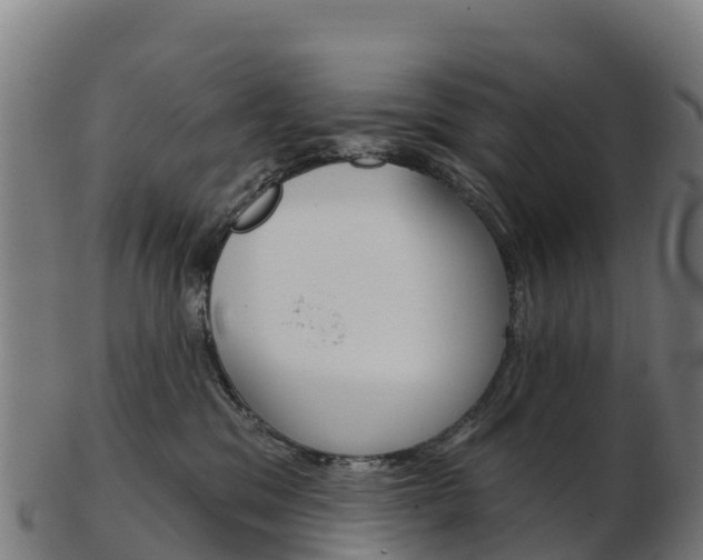 X0000103460329200809121103