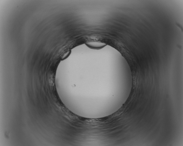 X0000103460331200809121103