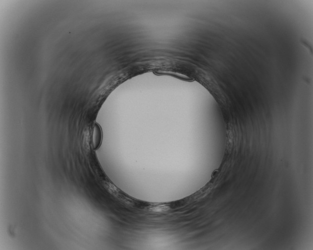 X0000103460333200809121103