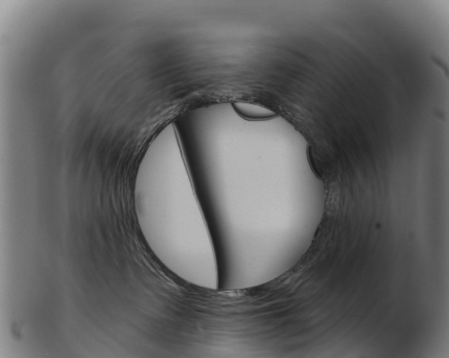 X0000103460335200809121103