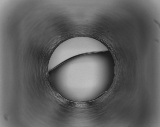 X0000103460336200809121103