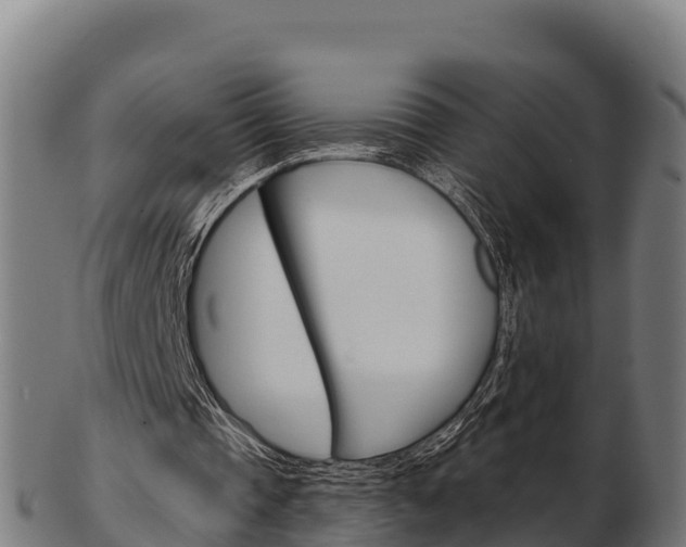 X0000103460337200809121102