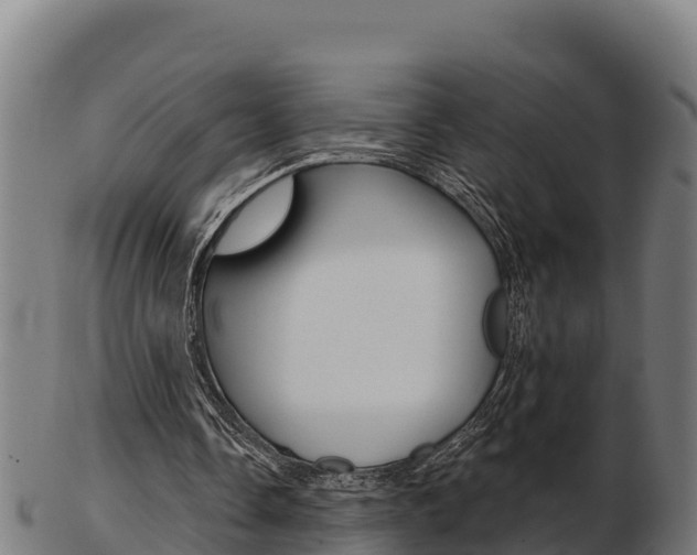 X0000103460338200809121102