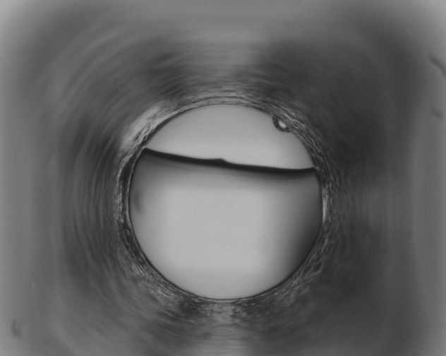 X0000103460339200809121102