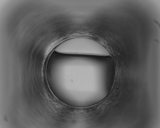 X0000103460340200809121102